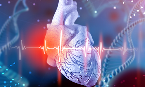 De l’infarctus du myocarde à l’insuffisance cardiaque : quelles ...