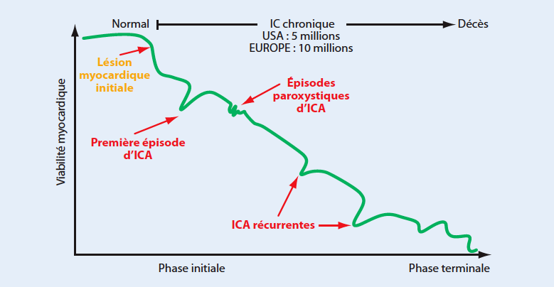 Les Mécanismes De La Décompensation Cardiaque Autorisent-ils Une ...